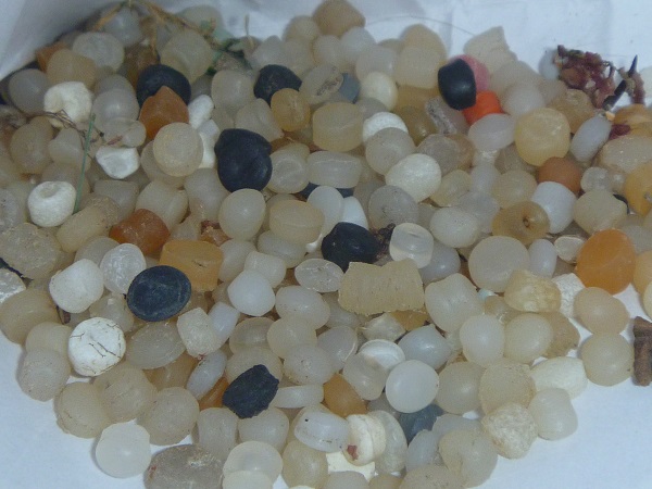 Tangaroa Blue Foundation what are plastic pellets